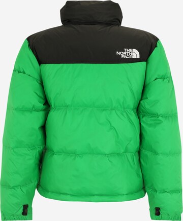 THE NORTH FACE Regular fit Winter jacket 'M 1996 RTO NUPTSE' in Green