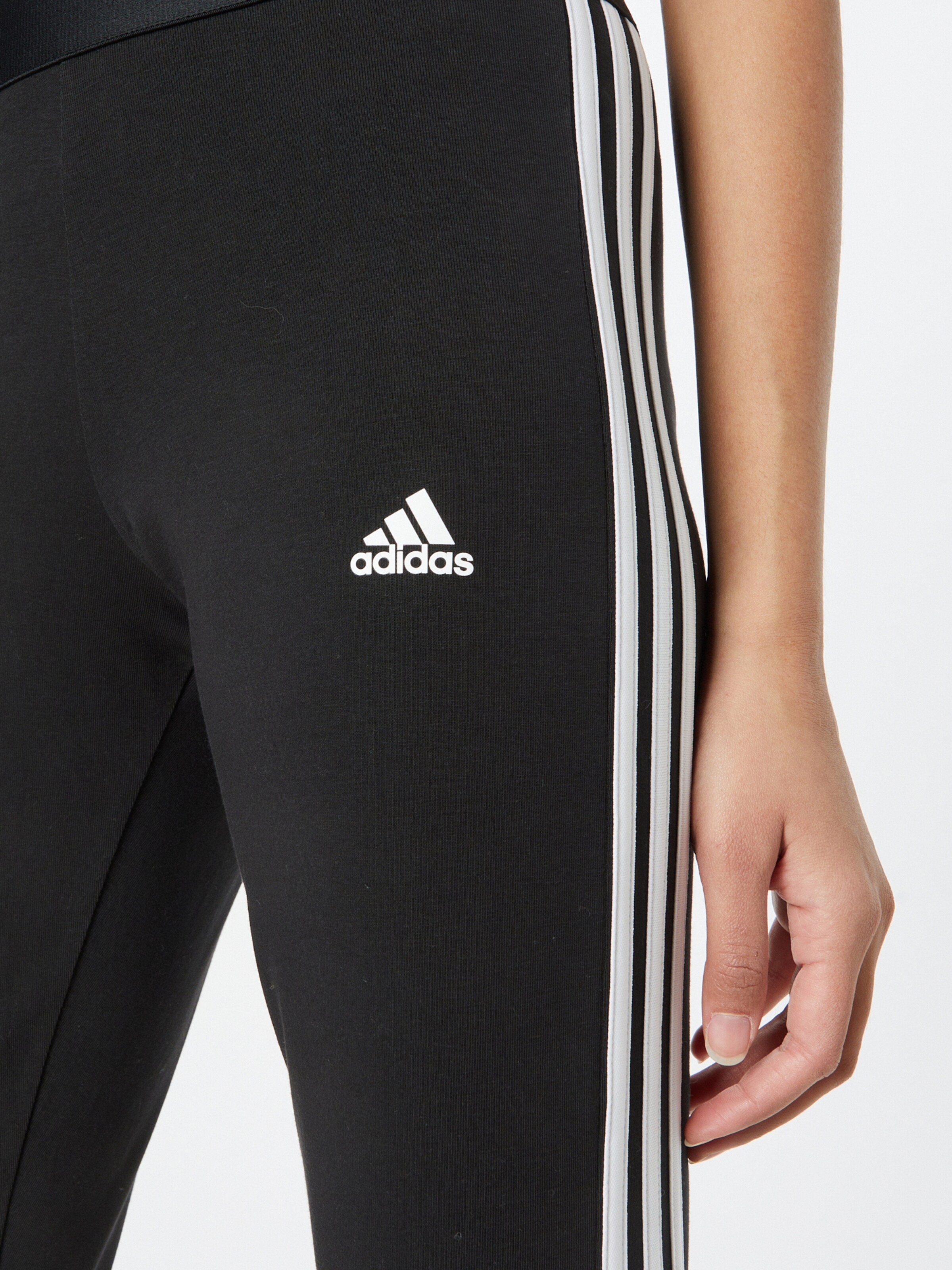 ADIDAS PERFORMANCE Pantaloni sportivi in Nero | ABOUT YOU