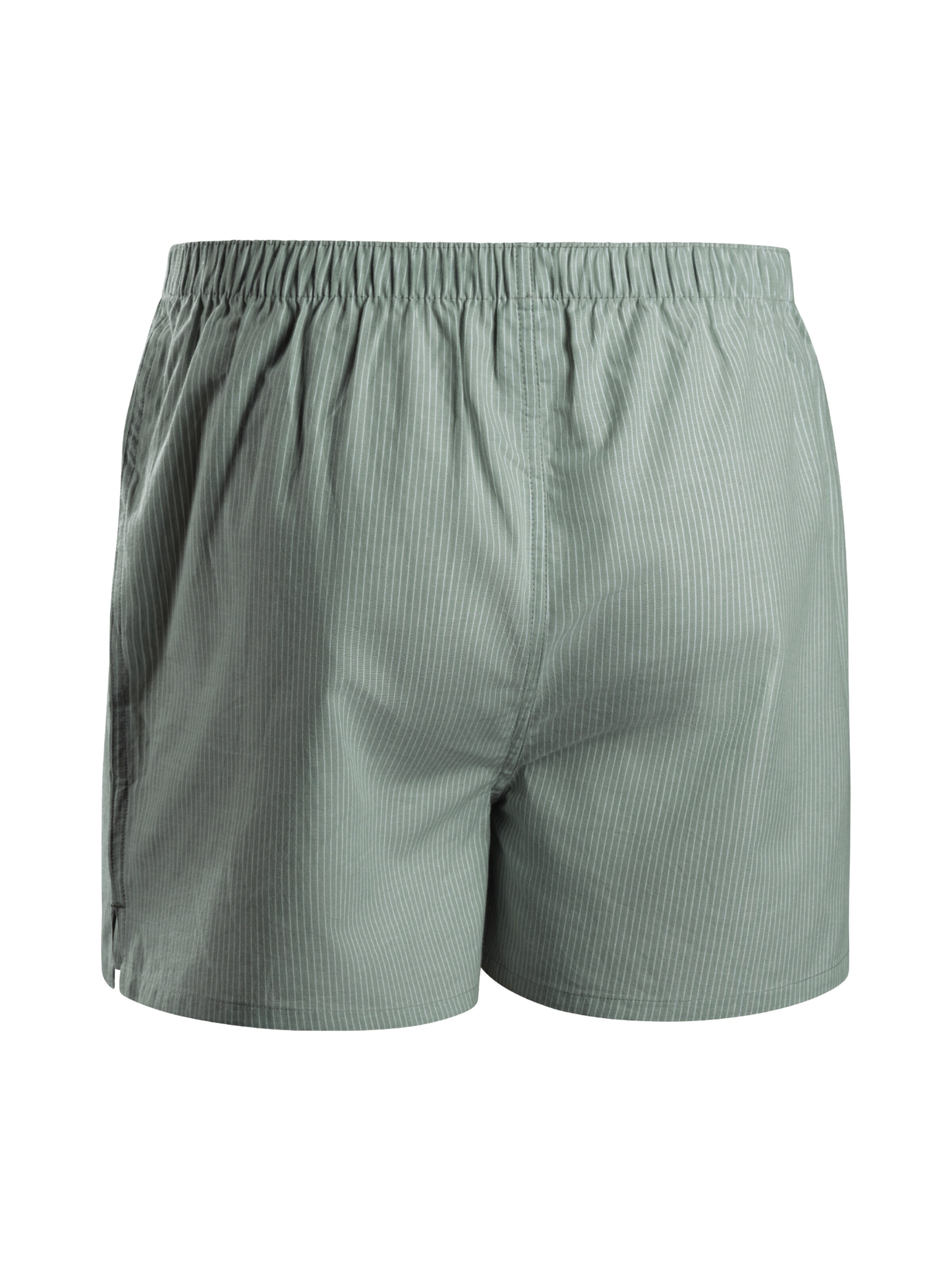 DANISH ENDURANCE Boxer shorts 'Organic Woven' in Green