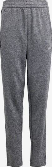 ADIDAS SPORTSWEAR Pantalon de sport en gris, Vue avec produit