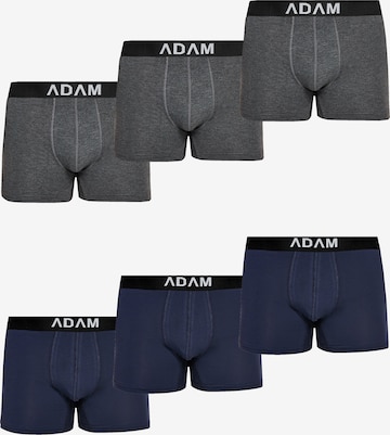 Adam Boxer shorts '6er Pack' in Grey: front