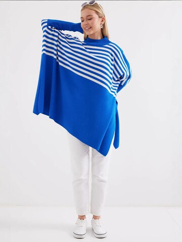 Bigdart Trui in Blauw