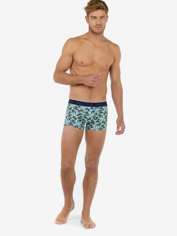 HOM Boxershorts 'Tropical no. 2' in Blauw