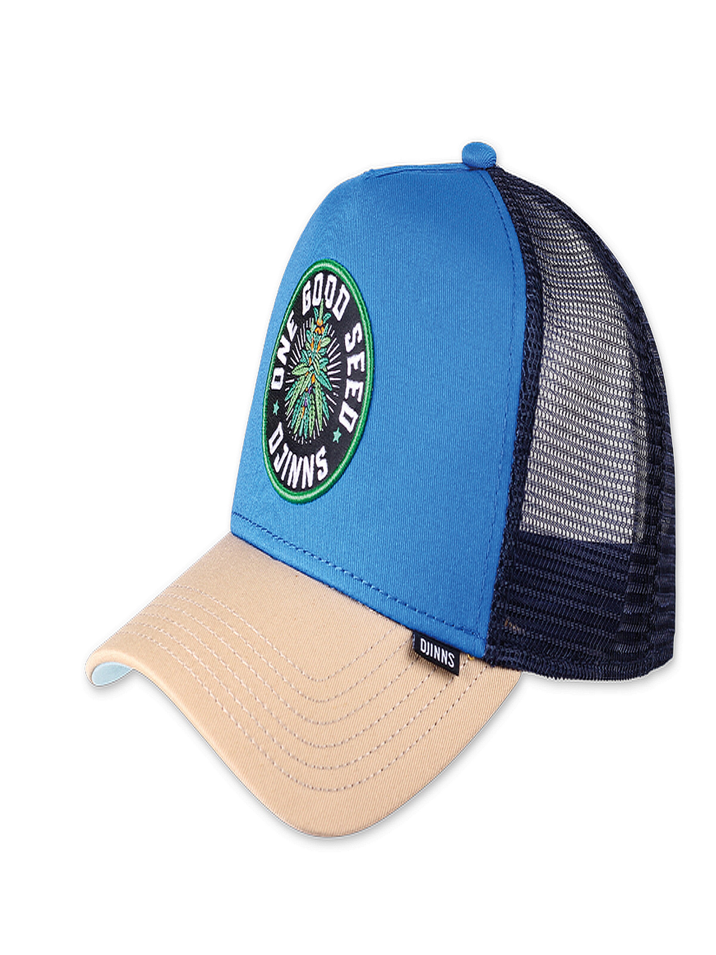 DJINNS Cap 'HFT Seed Royal' in Blue: front