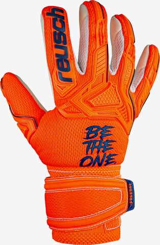 REUSCH Athletic Gloves 'Attrakt' in Orange