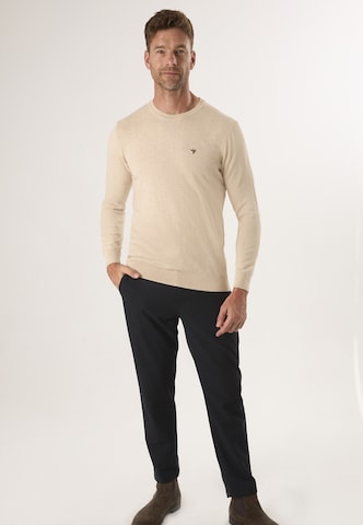 Felix Hardy Pullover i beige