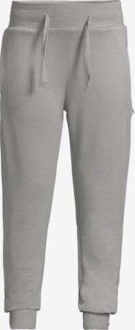 New Life Tapered Pants in Grey: front