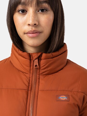 DICKIES Between-season jacket 'ALATNA' in Brown