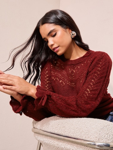 Friends Like These Sweater in Rot