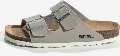 Bayton Toasuss 'Tracy' 36 suuruses hall / must, Tootevaade