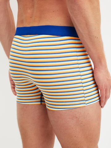 CALIDA Boxershorts 'Cotton Code Design'‌ in Mischfarben