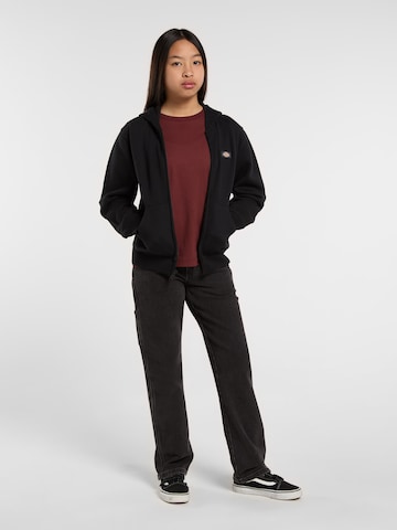 Regular Jean DICKIES en noir