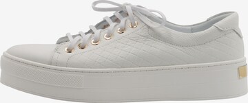 DreiMaster Maritim Sneakers laag in Grijs: voorkant