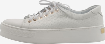 DreiMaster Maritim Sneakers in Grey: front