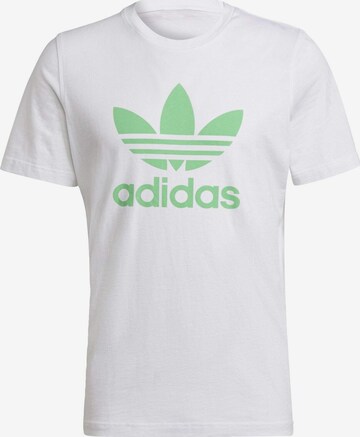 T-Shirt 'Adicolor Classics Trefoil' ADIDAS ORIGINALS en blanc : devant