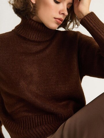 Bianco Lucci Sweater in Brown