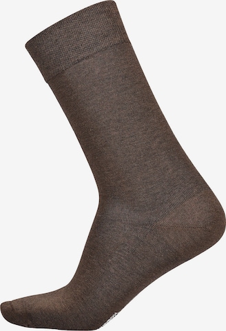 Hudson Socken 'Relax Exquisit' in Braun: Vorderseite