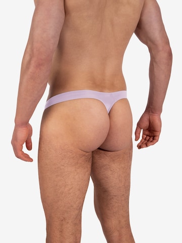 Olaf Benz Panty ' RED2331 Ministring ' in Purple