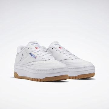 Baskets basses 'Club C Extra' Reebok en blanc