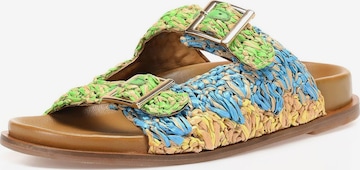 Zoccoletto di INUOVO in colori misti: frontale