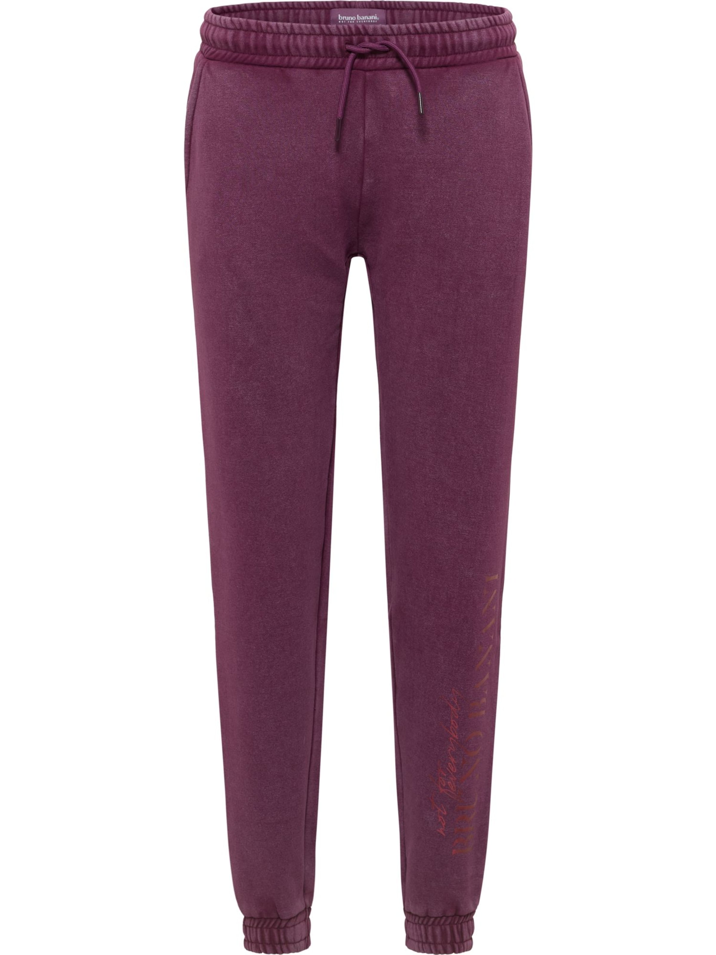 Regular Pantalon 'Burtwhistle' Bruno Banani en violet : devant