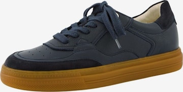 Sneaker bassa di Paul Green in blu: frontale