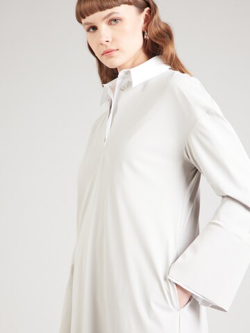 Max Mara Leisure Dress 'RAPACE' in Grey