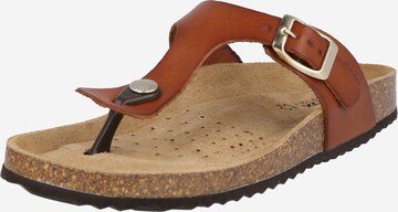GEOX Mules 'BRIONIA' in Brown: front
