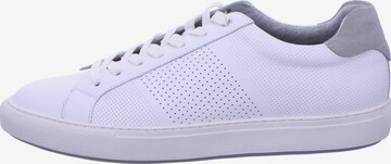 Digel Sneakers in White