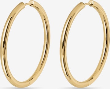 ESPRIT Earrings in Gold: front