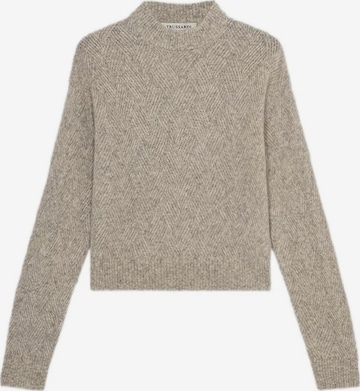 Trussardi Trui in Grijs: voorkant
