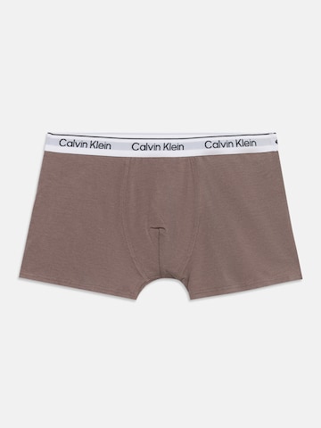 Calvin Klein Underwear Kalsong i brun