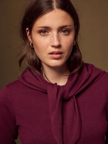 Next Sweater in Red
