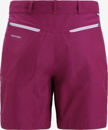 ICEBREAKER Regular Outdoor Pants 'HIKE' in Purple