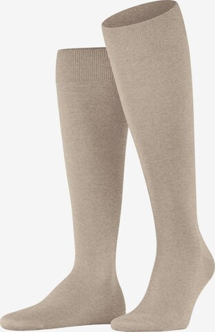 FALKE Kniestrümpfe 'ClimaWool' in Beige: Vorderseite