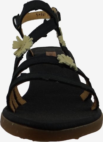 EL NATURALISTA Strap Sandals in Black