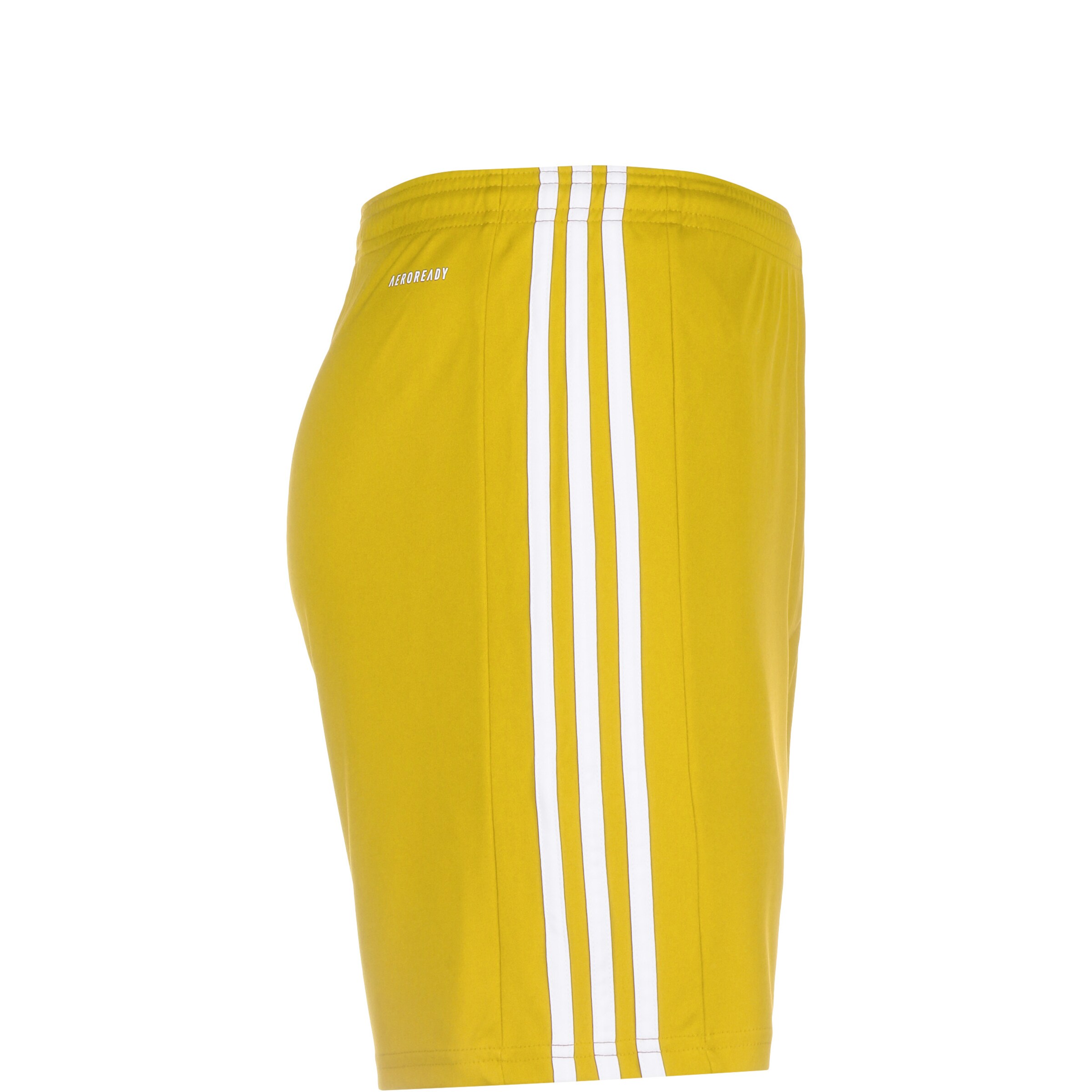 ADIDAS PERFORMANCE Regular Workout Pants 'Squadra 21' in Yellow