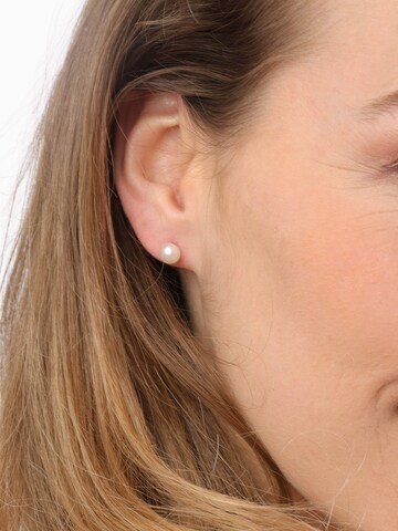Lucardi Earrings in Silver