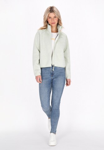 Veste en polaire Schmuddelwedda en vert