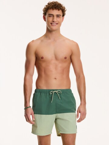 Shiwi Badeshorts ' NICK' in Grün: Vorderseite