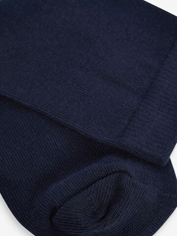 Next Socks in Blue