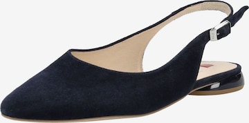 Ballerina di Högl in blu: frontale