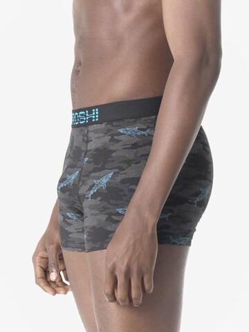 Boxeri de la KOROSHI pe gri