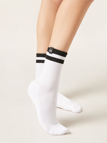 CALZEDONIA Socks in Black: front