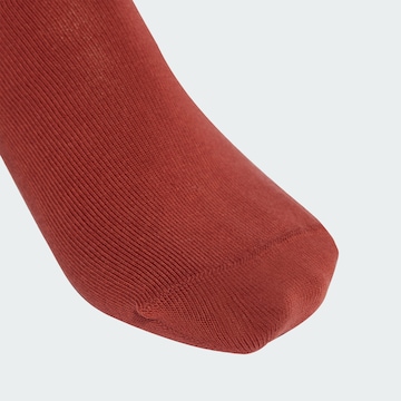 Chaussettes 'Adibreak' ADIDAS ORIGINALS en marron