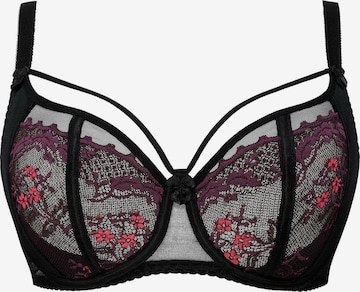 Azal BH 'Otylia' in Lila: Vorderseite