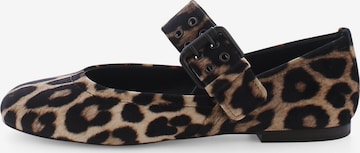 Ballerines à lanières 'Lola' Kennel & Schmenger en marron : devant