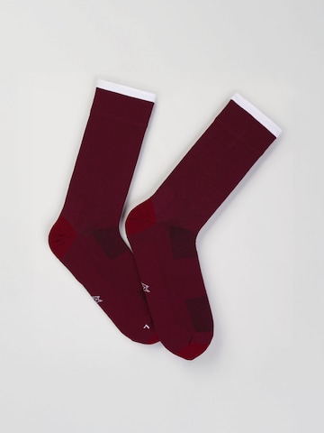 INCYLENCE Athletic Socks 'PURE' in Red