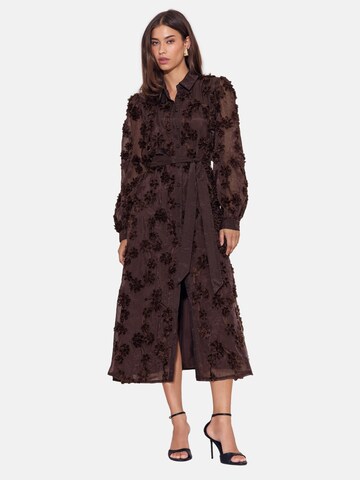 Robe-chemise Lipsy en marron : devant