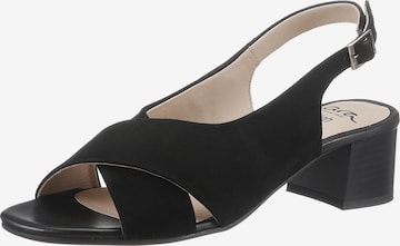 ARA T-Bar Sandals in Black: front